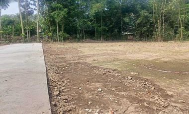 Mau Beli Tanah di Blitar Sesuai Budget ? Panjang 19 m lebar Fleksibel