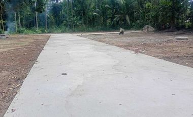 Mau Beli Tanah di Blitar Sesuai Budget ? Panjang 19 m lebar Fleksibel