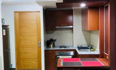 Vendo Departamento Amoblado Edificio Salar 1D-1B