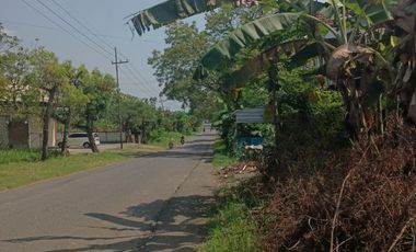 DIJUAL TANAH KAVLING LOKASI STRATEGIS DI KEMBANGBAHU TIKUNG LAMONGAN