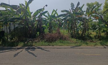 DIJUAL TANAH KAVLING LOKASI STRATEGIS DI KEMBANGBAHU TIKUNG LAMONGAN