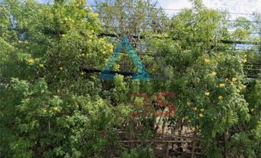 Dijual Tanah Kosong Dikawasan Jln Utama Jimbaran-Uluwatu Ungasan Kuta