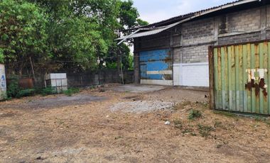 Gunung gangsir desa jejeran beji pasuruan