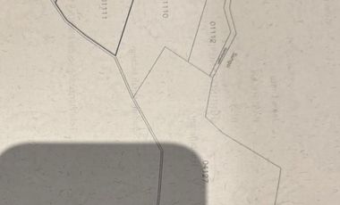 Gunung gangsir desa jejeran beji pasuruan