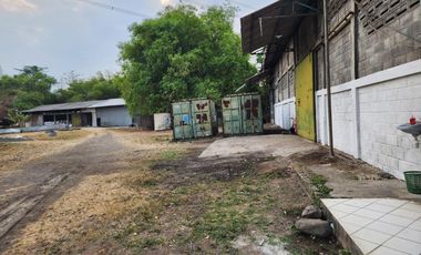 Gunung gangsir desa jejeran beji pasuruan