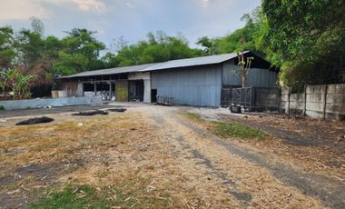 Gunung gangsir desa jejeran beji pasuruan