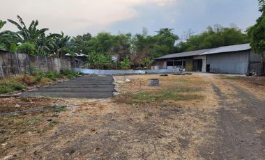 Gunung gangsir desa jejeran beji pasuruan