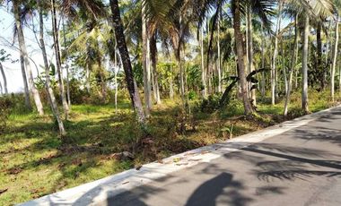 Tanah murah,butuh uang,lokasi barat bandara YIA -+1,5 km