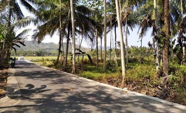 Tanah murah,butuh uang,lokasi barat bandara YIA -+1,5 km