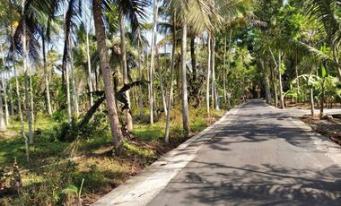 Tanah murah,butuh uang,lokasi barat bandara YIA -+1,5 km