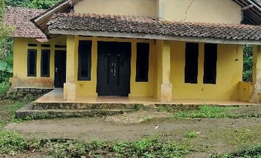 Rumah Dijual Murah Di Pandeglang 931 M² SHM