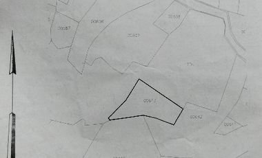 Rumah Dijual Murah Di Pandeglang 931 M² SHM