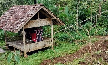 Rumah Dijual Murah Di Pandeglang 931 M² SHM