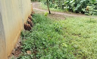 Rumah Dijual Murah Di Pandeglang 931 M² SHM