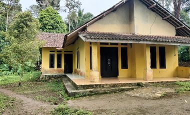 Rumah Dijual Murah Di Pandeglang 931 M² SHM