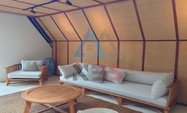 Freehold or leashold new brand villa for sale