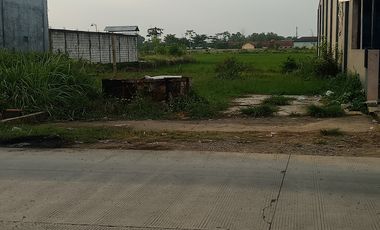 Tanah emas pusat ekonomi kota Kesesi