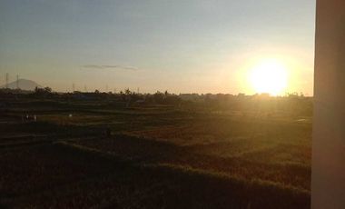 Dijual Rumah di Cepaka, Tabanan – Nyaman & Asri