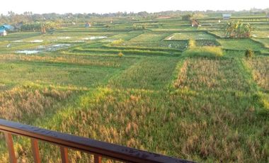 Dijual Rumah di Cepaka, Tabanan – Nyaman & Asri