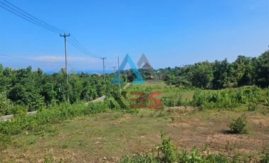 FREEHOLD FOR SALE TANAH OCEAN VIEW UNGASAN, JIMBARAN KUTA BALI