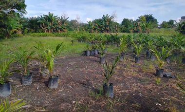 Dijual Tanah 13.025 m2 di Jl. Lintas Timur Sumatra