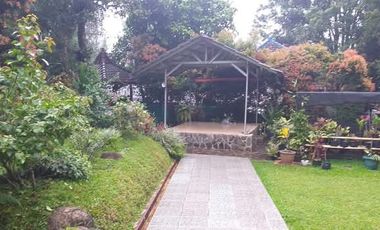 Villa Asri Udara Dingin di Kaki Gunung Burangrang Cipulus Wanayasa