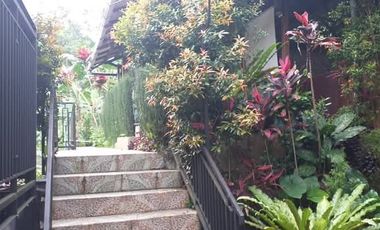 Villa Asri Udara Dingin di Kaki Gunung Burangrang Cipulus Wanayasa