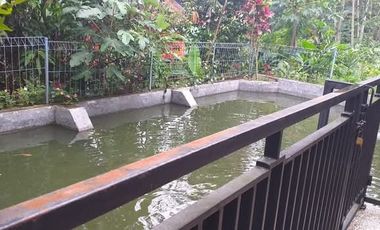 Villa Asri Udara Dingin di Kaki Gunung Burangrang Cipulus Wanayasa