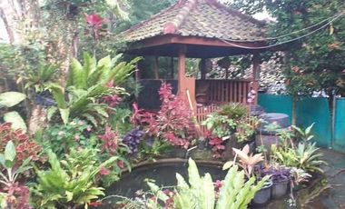 Villa Asri Udara Dingin di Kaki Gunung Burangrang Cipulus Wanayasa