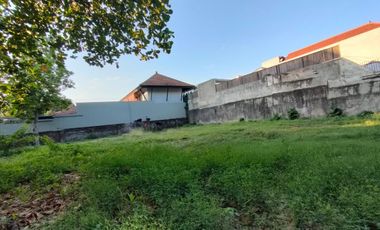 DIJUAL TANAH PREMIUM CIVIC CENTER RENON BALI