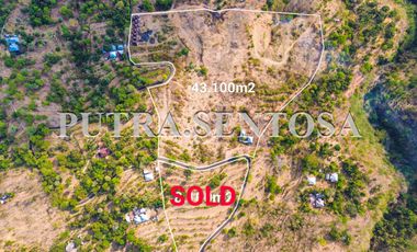 TANAH AIRPORT BALI UTARA SINGARAJA UTARA OCEAN VIEW, BONUS VILLA