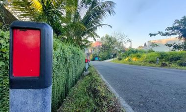 TANAH LOS SUNGAI JUNGLE VIEW DEKAT GREEN SCHOOL ARAH UBUD BALI