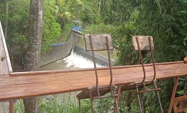 TANAH LOS SUNGAI JUNGLE VIEW DEKAT GREEN SCHOOL ARAH UBUD BALI