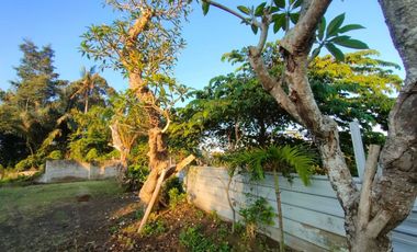 TANAH LOS SUNGAI JUNGLE VIEW DEKAT GREEN SCHOOL ARAH UBUD BALI