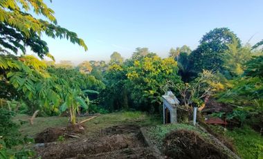TANAH LOS SUNGAI JUNGLE VIEW DEKAT GREEN SCHOOL ARAH UBUD BALI