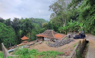 TANAH LOS SUNGAI JUNGLE VIEW DEKAT GREEN SCHOOL ARAH UBUD BALI