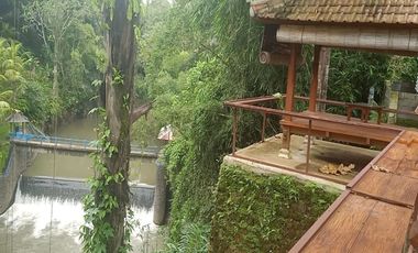 TANAH LOS SUNGAI JUNGLE VIEW DEKAT GREEN SCHOOL ARAH UBUD BALI
