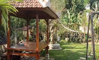 TANAH LOS SUNGAI JUNGLE VIEW DEKAT GREEN SCHOOL ARAH UBUD BALI