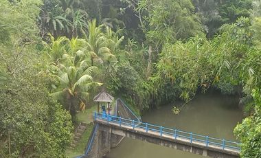 TANAH LOS SUNGAI JUNGLE VIEW DEKAT GREEN SCHOOL ARAH UBUD BALI