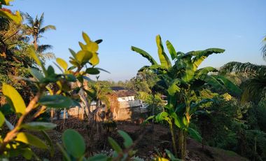 TANAH LOS SUNGAI JUNGLE VIEW DEKAT GREEN SCHOOL ARAH UBUD BALI