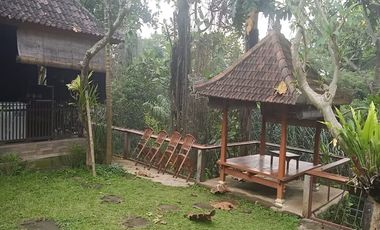 TANAH LOS SUNGAI JUNGLE VIEW DEKAT GREEN SCHOOL ARAH UBUD BALI