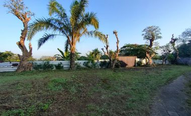 TANAH LOS SUNGAI JUNGLE VIEW DEKAT GREEN SCHOOL ARAH UBUD BALI