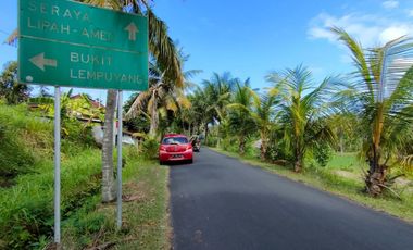 BEACHFRONT BALINESE STYLE VILLA FOR SALE