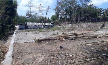 Tanah Luas Murah Strategis Di Jl. Raya Rejotangan, Kab. Tulungagung