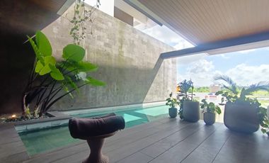 Villa Modern Tropis Nava Tamora Canggu
