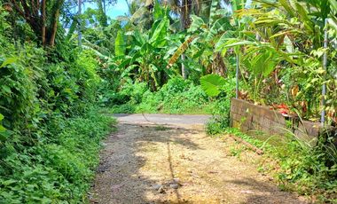 Disewakan tanah 2500 m2 dkt pantai Bonian Selemadeg Tabanan Bali