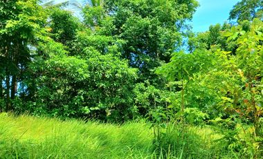 Disewakan tanah 2500 m2 dkt pantai Bonian Selemadeg Tabanan Bali