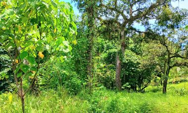 Disewakan tanah 2500 m2 dkt pantai Bonian Selemadeg Tabanan Bali