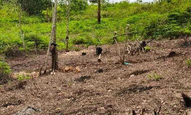 Dijual Tanah Kavling 198 M2 Lokasi Jalan Penghubung Transad - Stadion Batakan Balikpapan