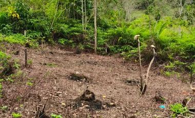 Dijual Tanah Kavling 198 M2 Lokasi Jalan Penghubung Transad - Stadion Batakan Balikpapan